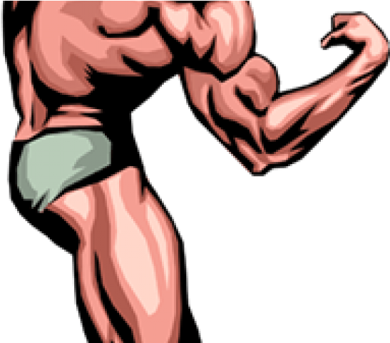 Muscle Man Clip Art (640x480), Png Download
