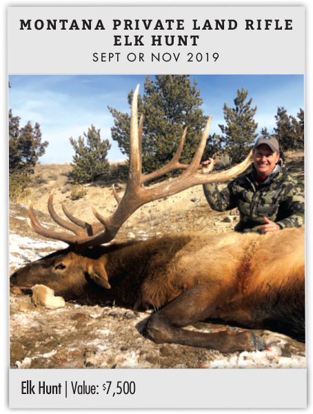 Montana Private Land Rifle Elk Hunt - Elk (600x600), Png Download