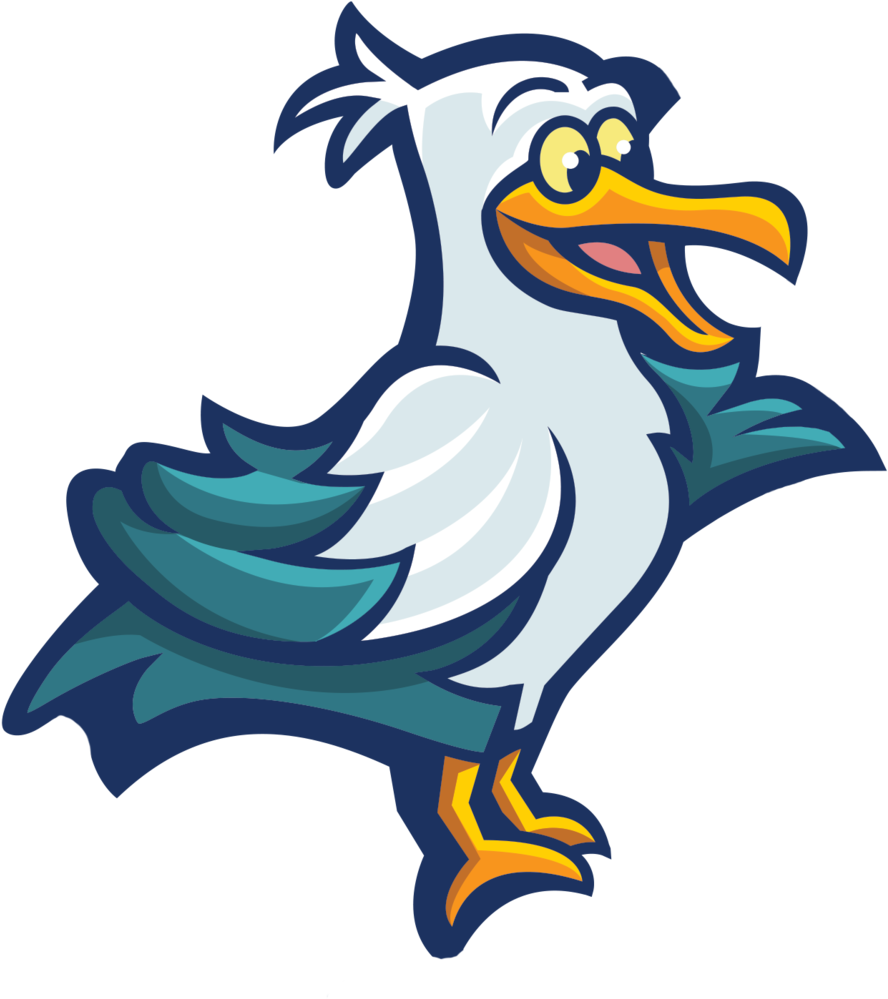 Bird (1000x1032), Png Download