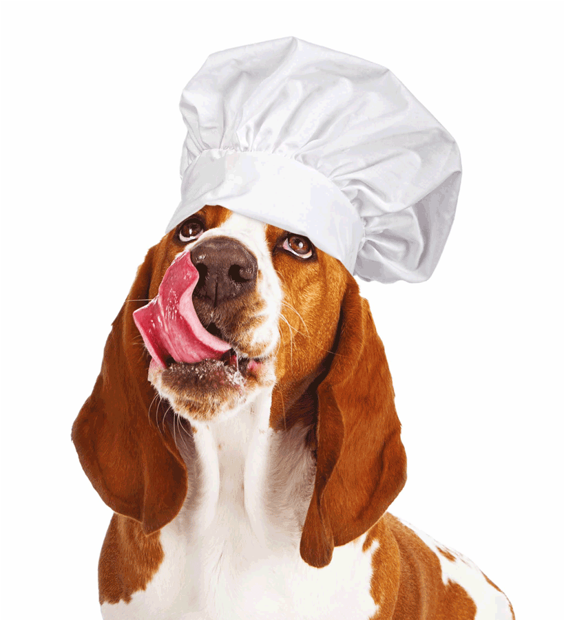 Dog Wearing Chef Hat - Dog Yawns (1400x900), Png Download