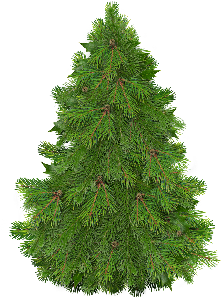 Happy Christmas Christmas Tree Clipart, Christmas Trees, - Christmas Tree (729x1000), Png Download