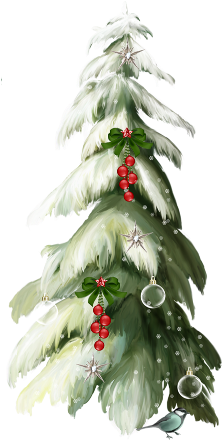 Christmas Tree Árboles De Navidad, Abeto, Clipart - 13 Января (553x1024), Png Download