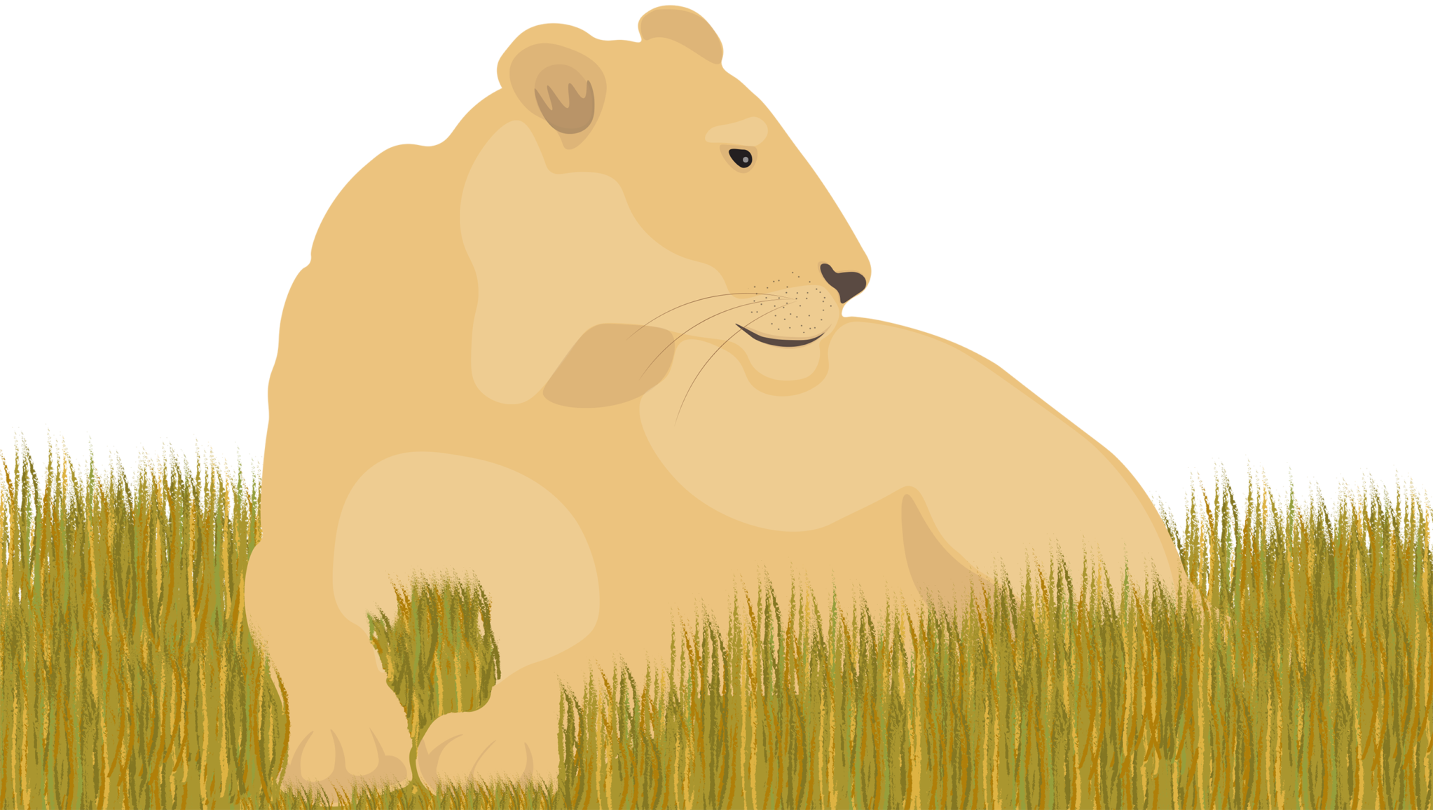 Illustration (2045x1156), Png Download