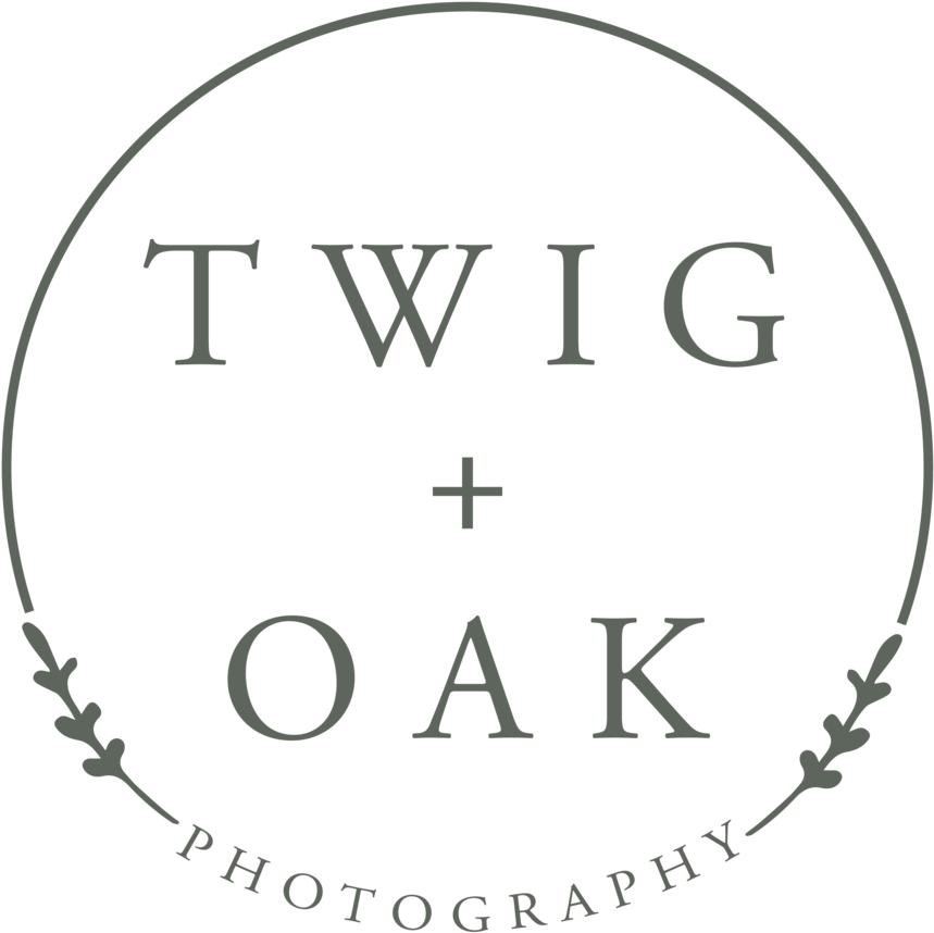 Twig Png (1000x1000), Png Download