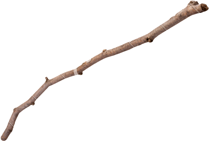 Clipart Freeuse Toast Roasting Stock Photography Clip - Wooden Twig (800x554), Png Download