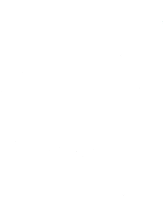 Beaver - Illustration (554x670), Png Download