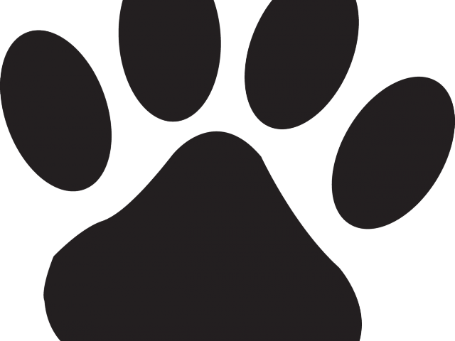 Husky Clipart Bear Paw - Cat Paw Print Small (640x480), Png Download