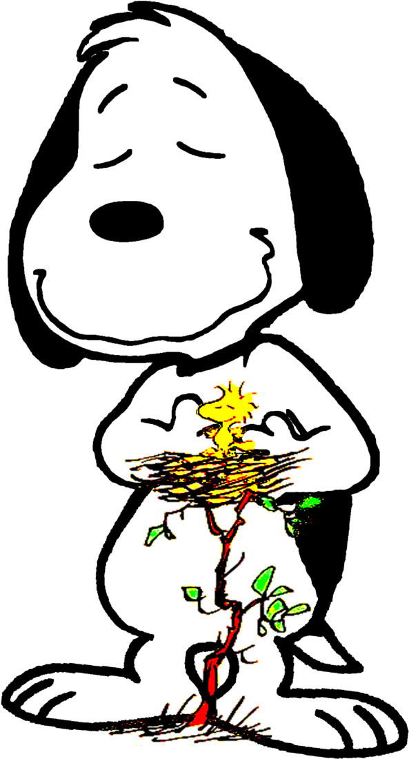 O Grande Amigo E Protetor Do Woodstock By Bradsnoopy97 - Woodstock Peanuts (593x1099), Png Download