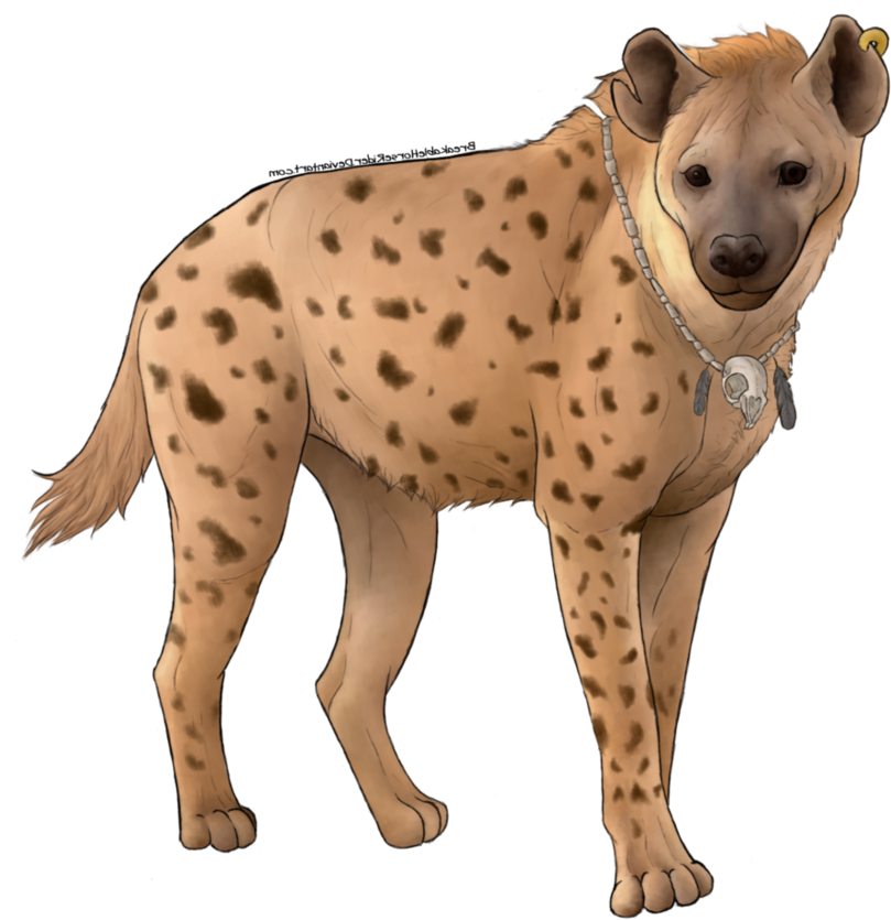 Spotted Hyena (931x859), Png Download