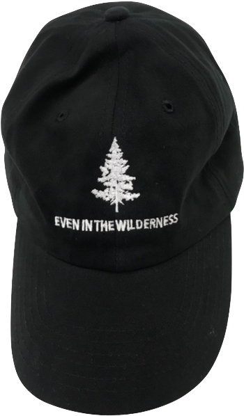 Wilderness Dad Hat (800x800), Png Download