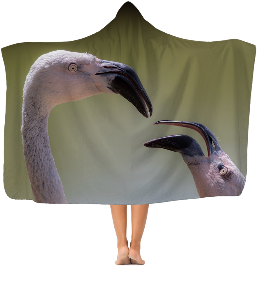 Flamingos Premium Adult Hooded Blanket - Blanket (1024x1024), Png Download