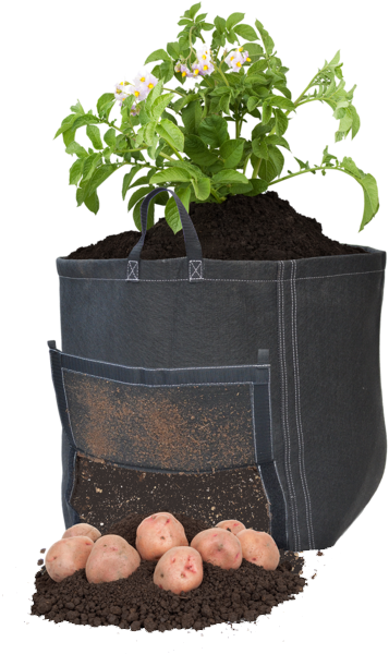 Geopot Square Bottom Potato Bag - Potato (600x600), Png Download