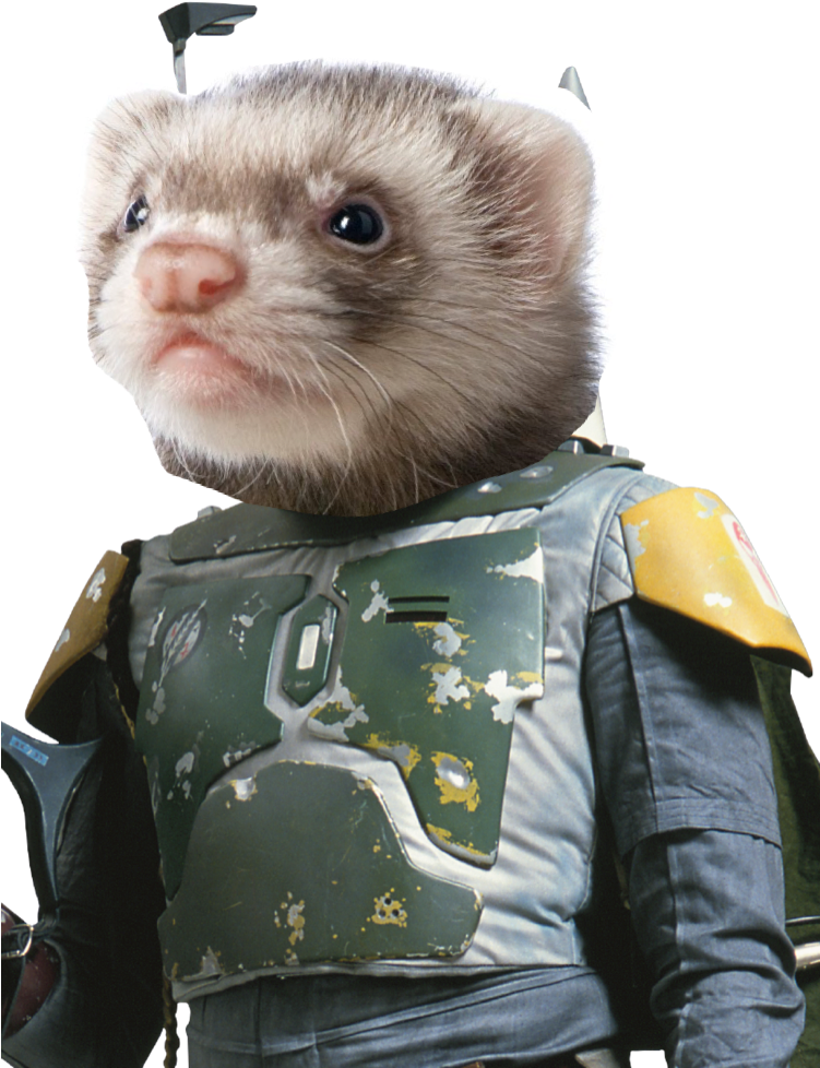 Boba Ferret - Boba Fett (750x1000), Png Download