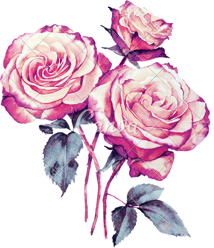 689 X 800 1 - Watercolor Painting (689x800), Png Download