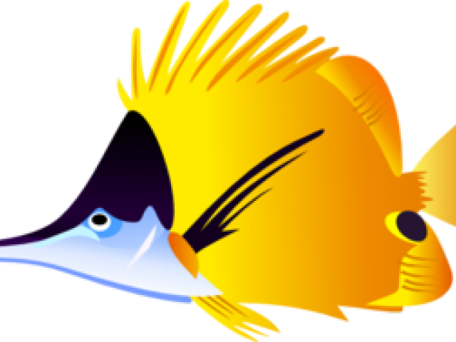 Tropical Fish Clipart Beta - Tropical Fish Cartoon (640x480), Png Download