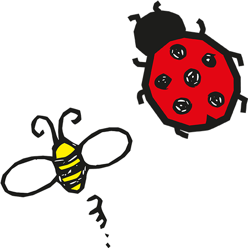 Bumblebees And Ladybirds - Ladybug (600x600), Png Download