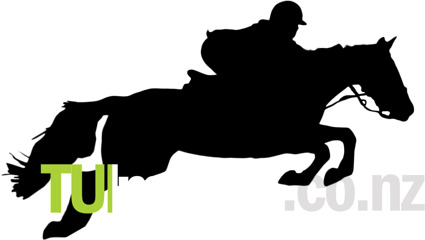 Horse Silhouette Cliparts - Jumping Horse (1598x945), Png Download