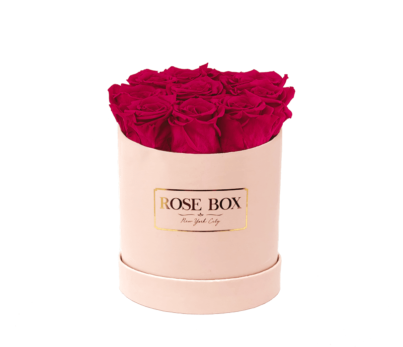 Prev - Garden Roses (800x800), Png Download