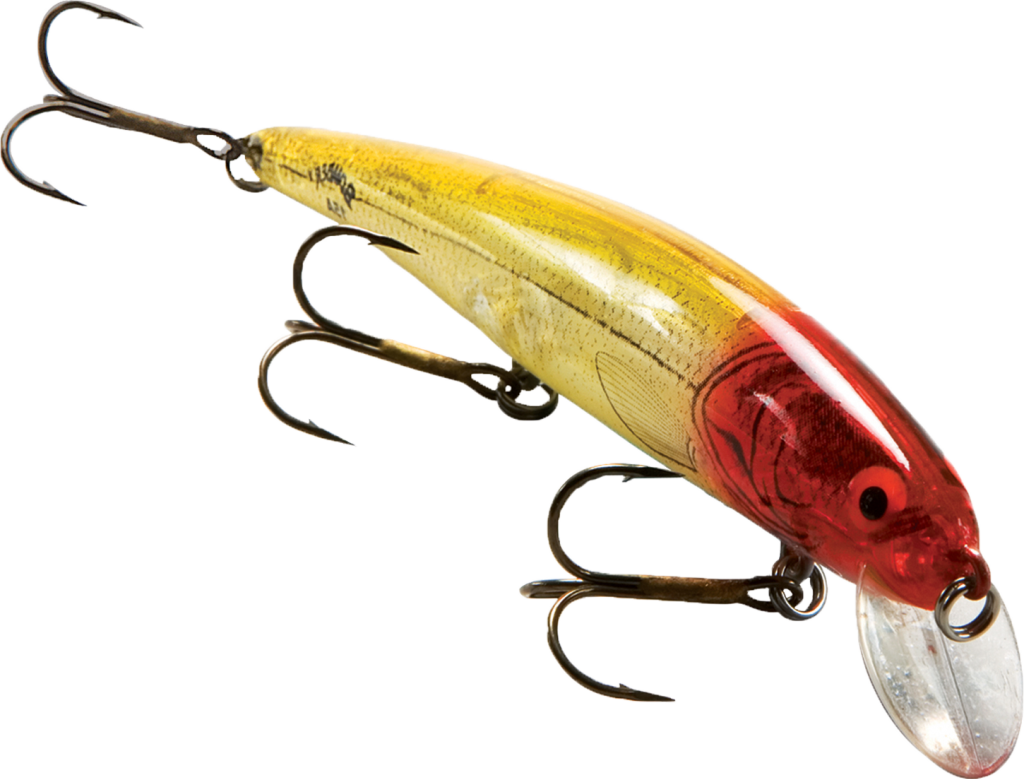 Bass Fish Png - Plug (1024x779), Png Download