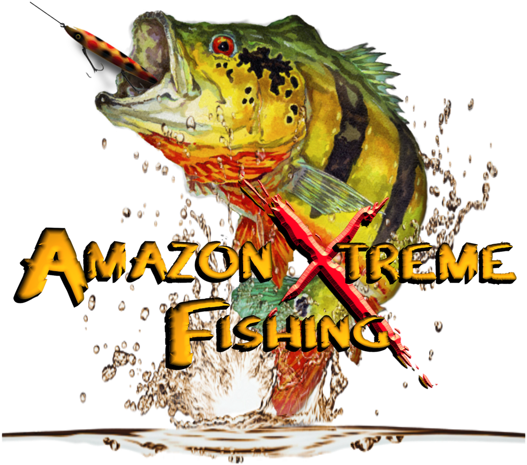 Download Pdf - Team Fishing Peacock Bass (1111x1110), Png Download