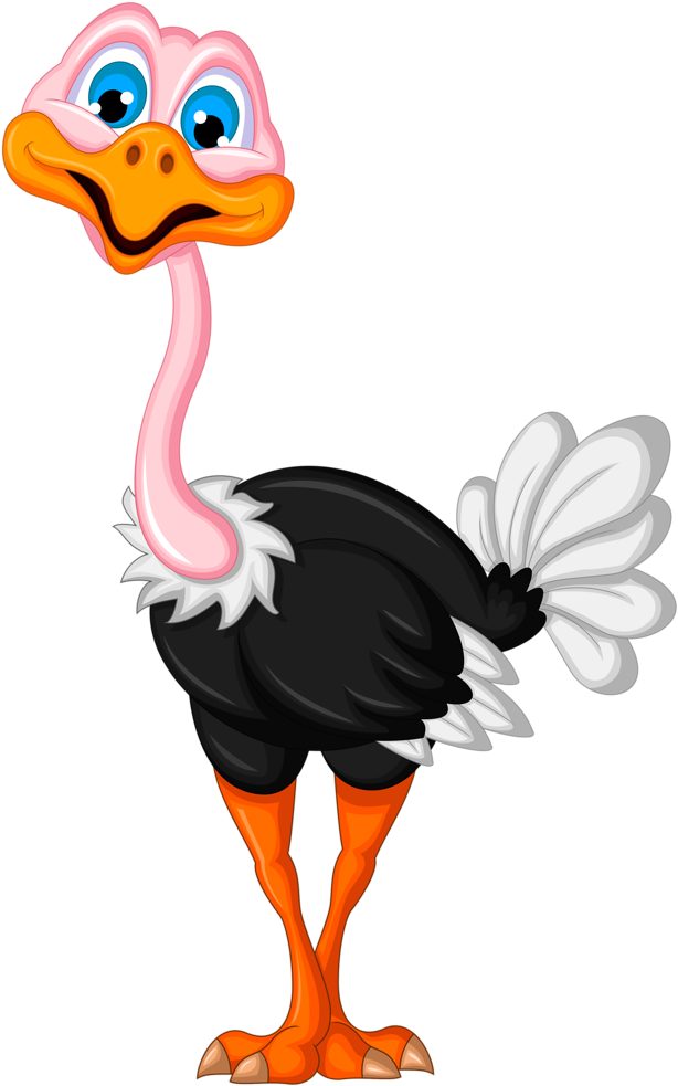 Фото, Автор Soloveika На Яндекс - Ostrich Cartoon (657x1024), Png Download