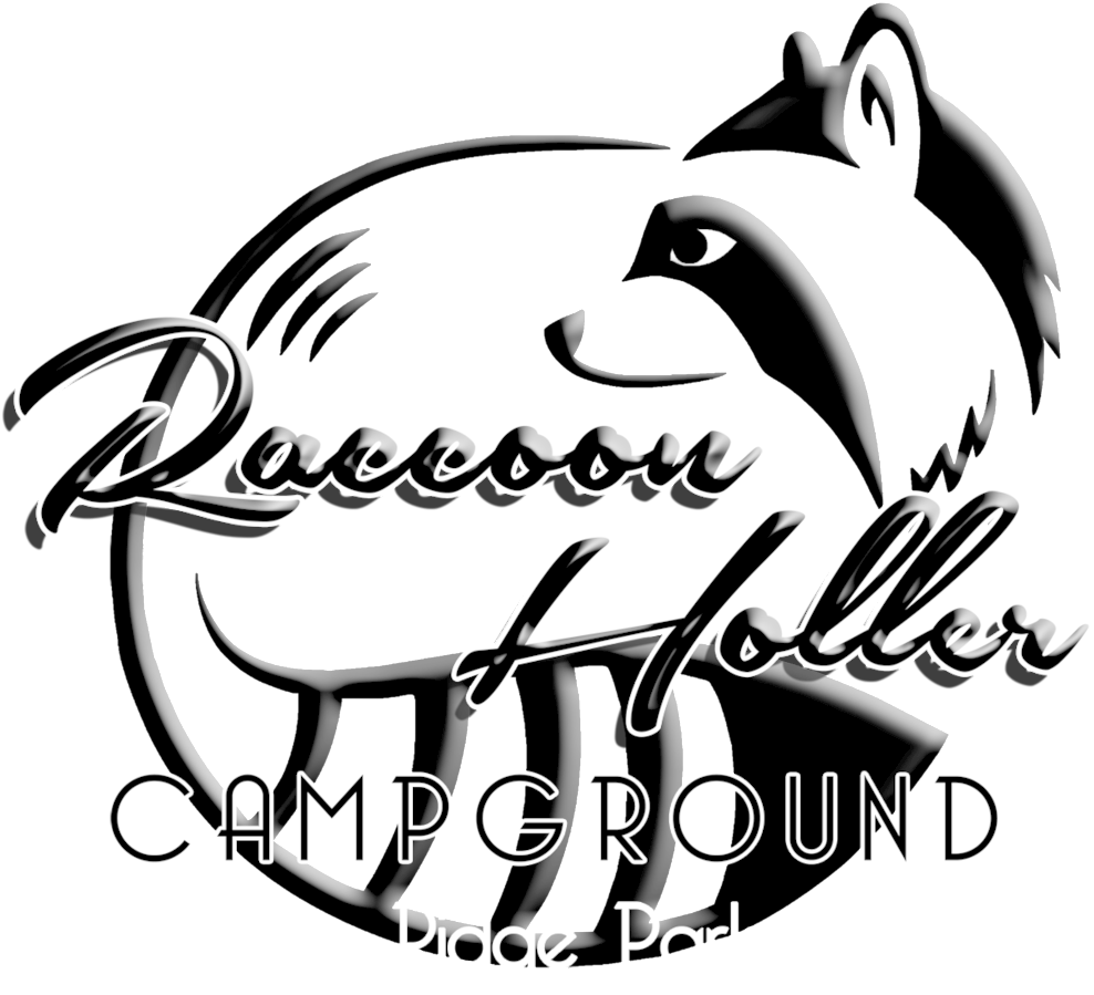Raccoon Holler Campground (1000x993), Png Download