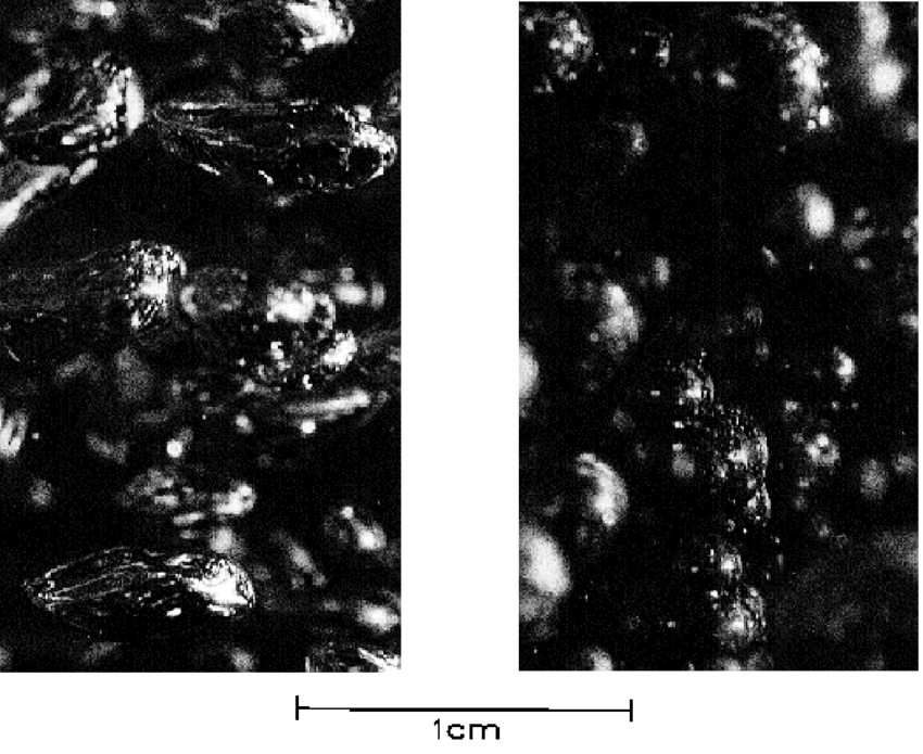 Bubbles With A Mobile Interface In Water , Made Rigid - Monochrome (850x695), Png Download