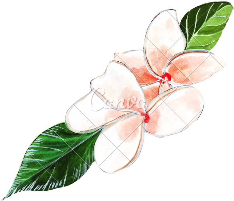 Painted Hands Pink Photos By Canva - Illustration (800x688), Png Download