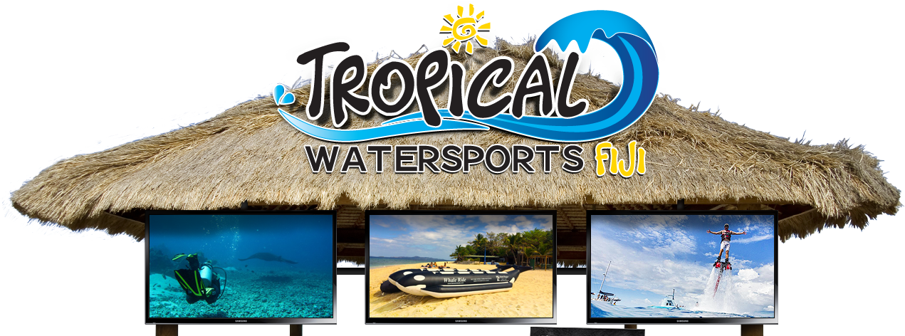Island Day Trip - Surface Water Sports (1301x498), Png Download