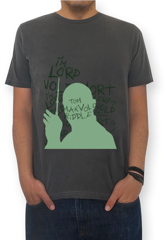 Camiseta I'm Lord Voldemort De Allef Mellona - Camiseta Toma Conta Da Sua Vida (800x800), Png Download
