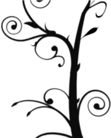 Vine Clipart Design - Tree Branch Clip Art (640x480), Png Download
