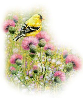 Kaz Creations Birds Bird Paysage Scenery - Bird (341x400), Png Download