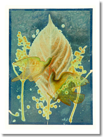 Still Life (650x472), Png Download