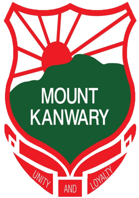 Mount Kanwary Public School - Mount Kanwary Public School Cracker Night (807x1017), Png Download