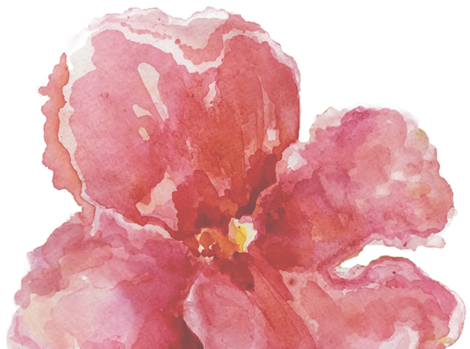 Flower (1230x580), Png Download
