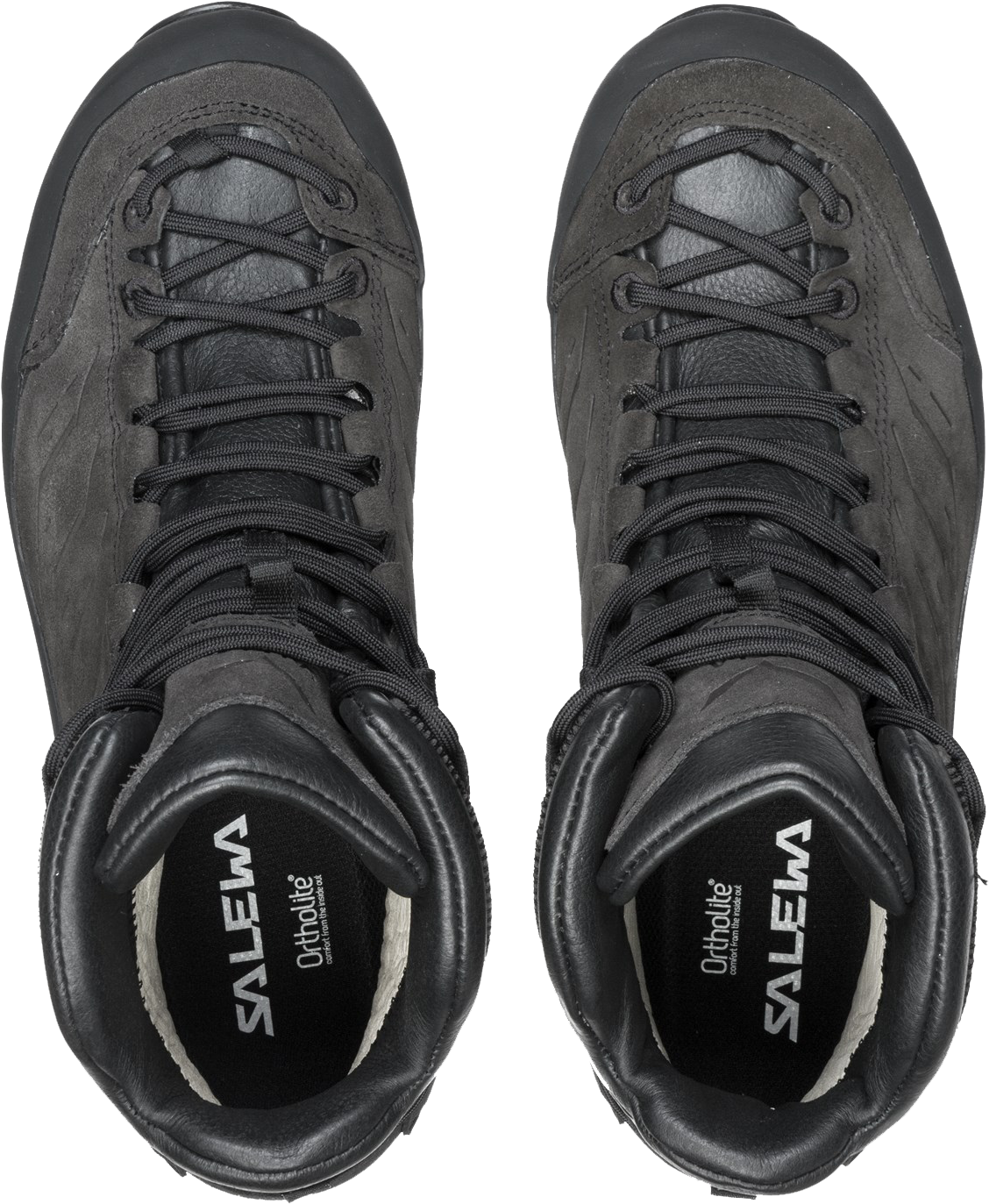 dynafit tlt bindings