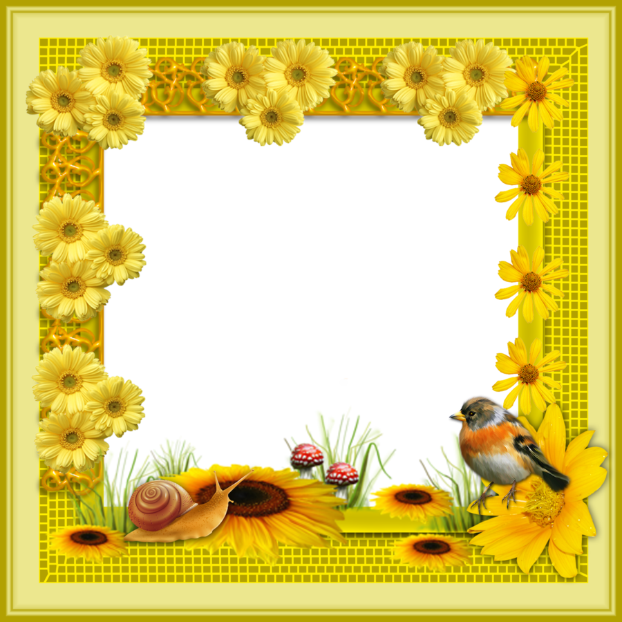 Frame Png Clipart Picture Frames - Flowers Frame In Png (900x900), Png Download