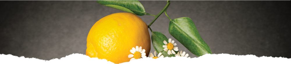 Product Chamomile Citrus Herbal Tea Hdr Bg (1000x220), Png Download