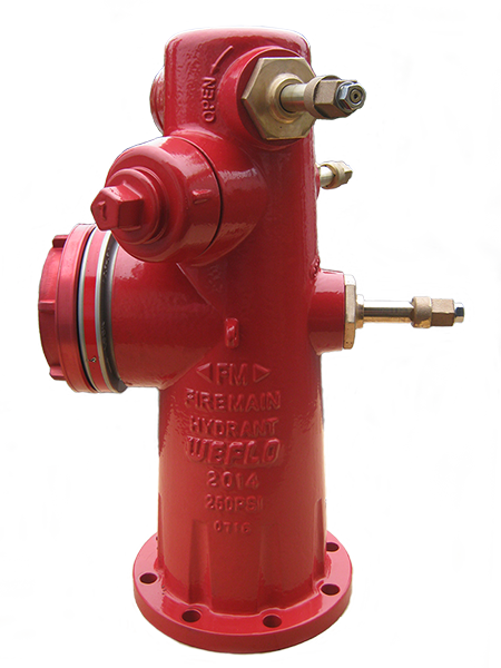 Download - Wet Barrel Type Fire Hydrant (450x600), Png Download