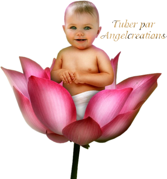Tube Bébé Png - Afrikaans (600x797), Png Download