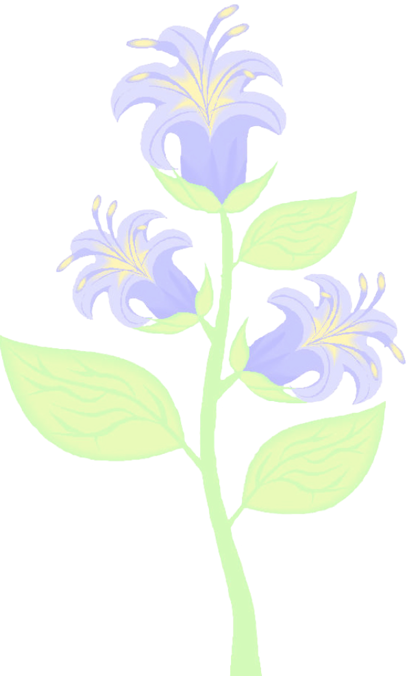 Flower Cleaning Service - Reproductor Masculino De Las Plantas (594x986), Png Download