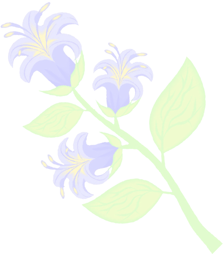 Reliable Cleaning Services 1414 Blue Spruce Drive, - Reproductor Masculino De Las Plantas (1132x1132), Png Download