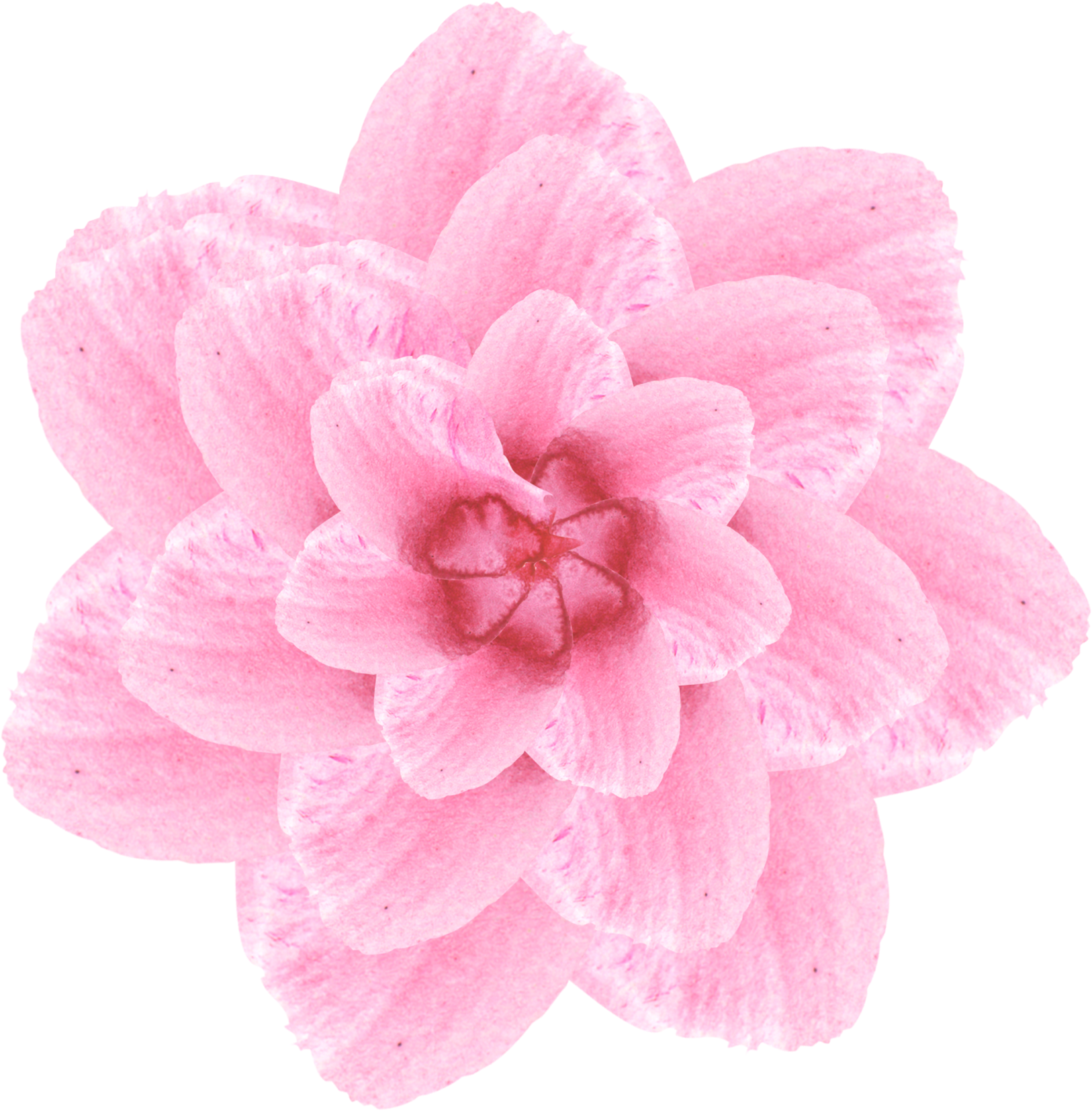 Simplicity Fashion Creativity Watercolor Png And Psd - Artificial Flower (2000x2000), Png Download