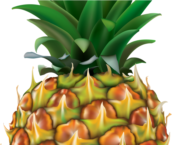 Pineapple Clipart Single - Pineapple Transparent Clipart (640x480), Png Download