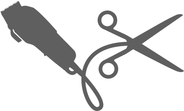 Barbet Clipart Barber Comb - Barber Shop (736x595), Png Download