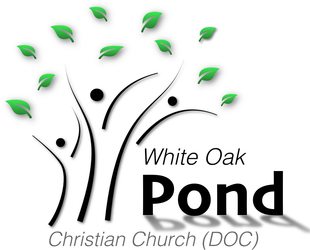 Pond Logo Tree People - Graphic Design (1000x1000), Png Download