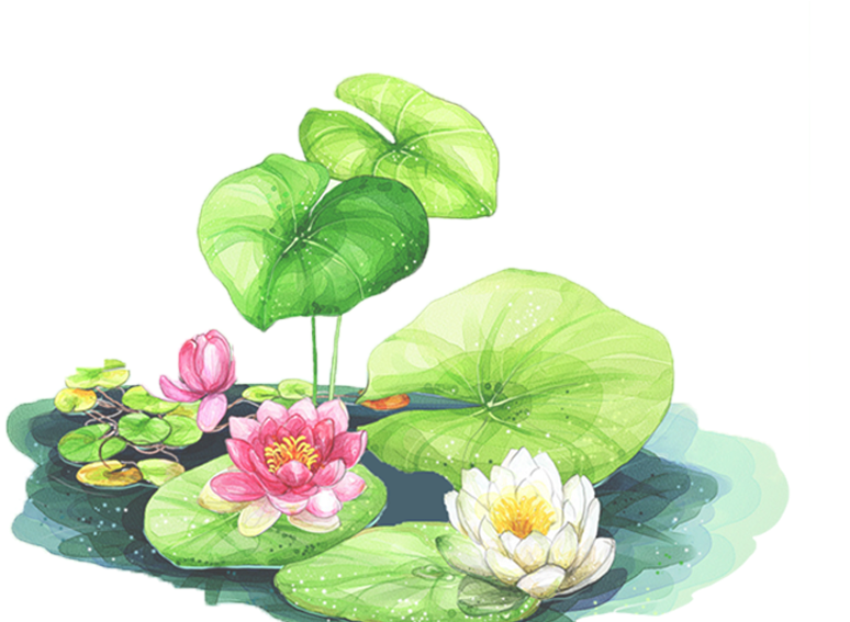 856 X 566 1 - Lotus Leaf Background Clipart (856x566), Png Download