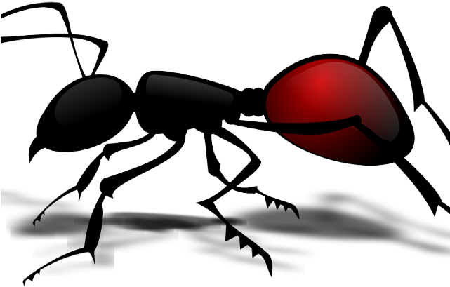 Ants Clipart Vector Png - Ant Body Part Worksheet (640x480), Png Download