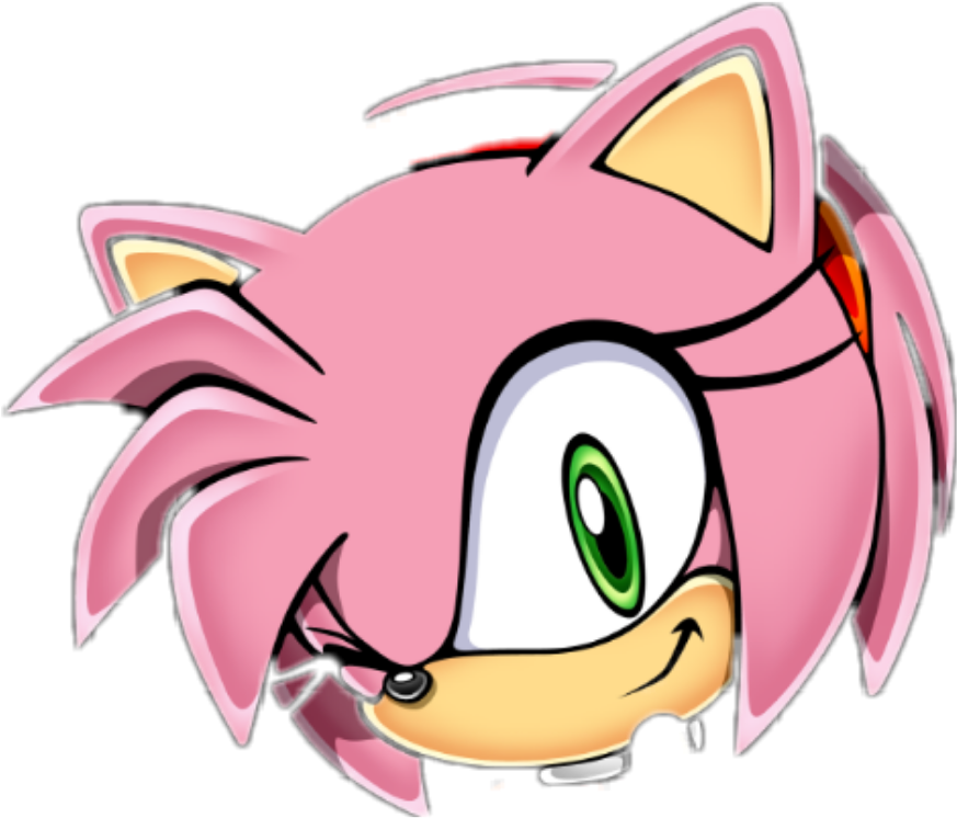 Amy Sticker - Amy Rose Head Png (1024x1024), Png Download