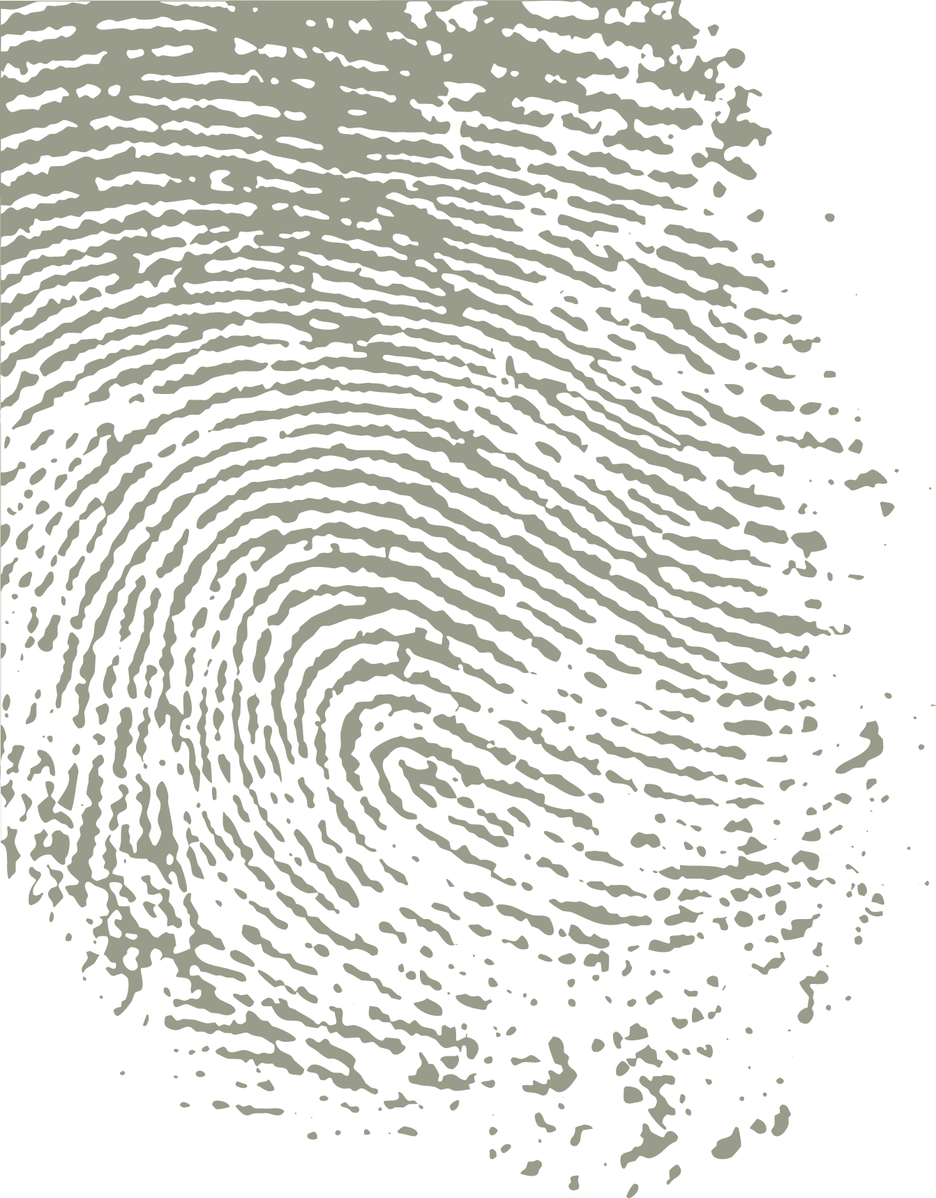 Drawing (1342x1718), Png Download
